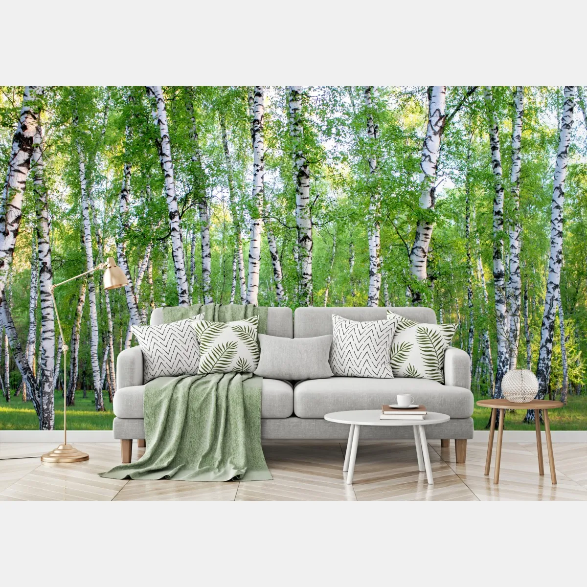 Fototapeta spokojny brzozowy gaj latem – Wallissimo® Fototapeta spokojny brzozowy gaj latem – Wallissimo®