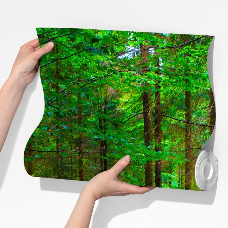 Fototapeta spokojna leśna kładka – Wallissimo® Fototapeta spokojna leśna kładka – Wallissimo®