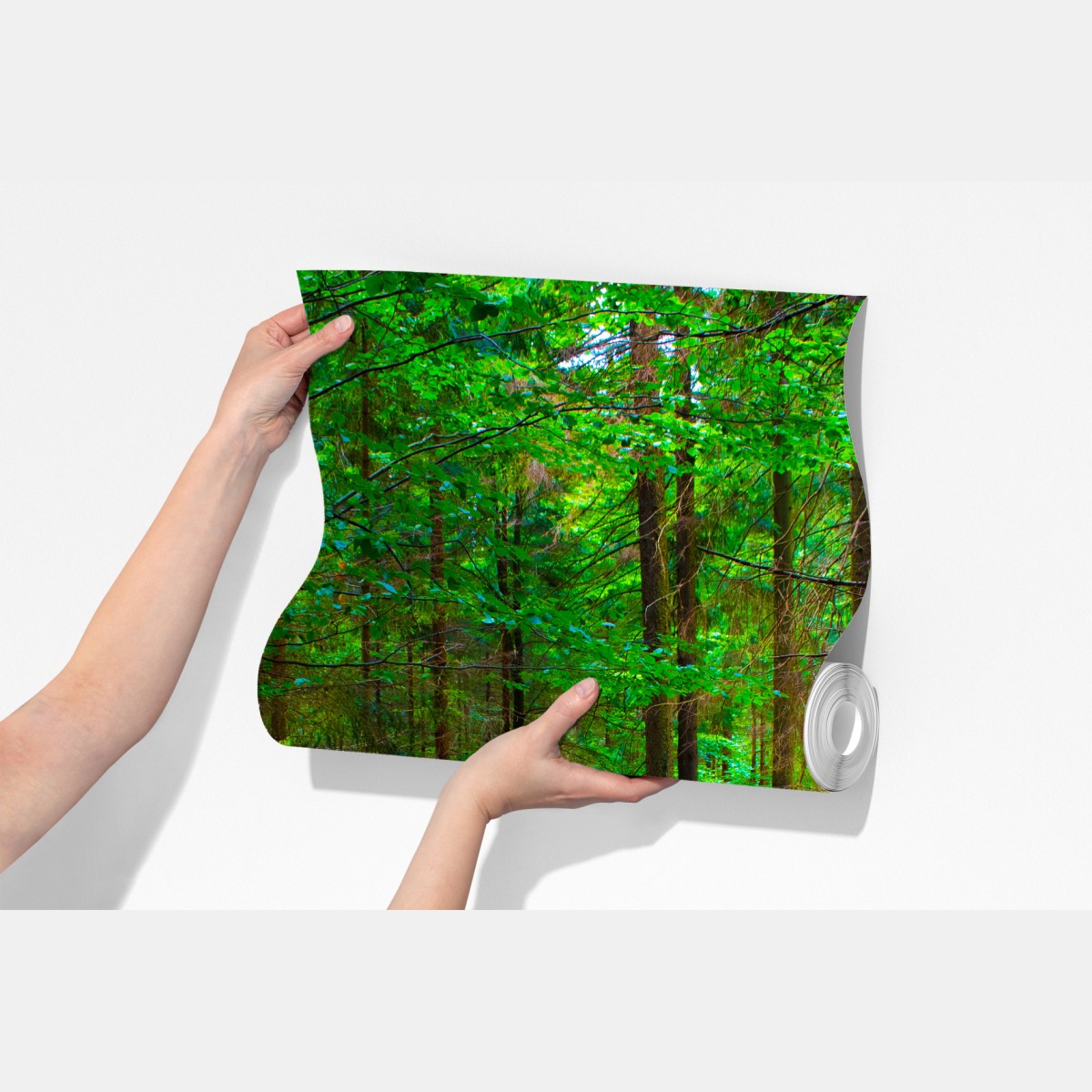 Fototapeta spokojna leśna kładka – Wallissimo® Fototapeta spokojna leśna kładka – Wallissimo®