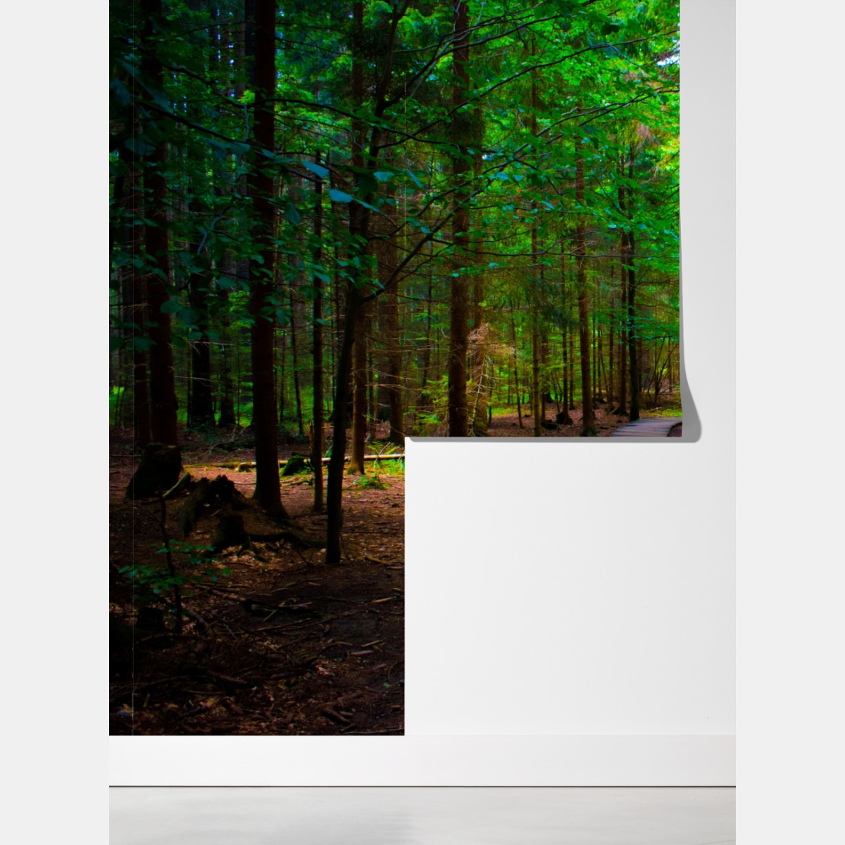 Fototapeta spokojna leśna kładka – Wallissimo® Fototapeta spokojna leśna kładka – Wallissimo®