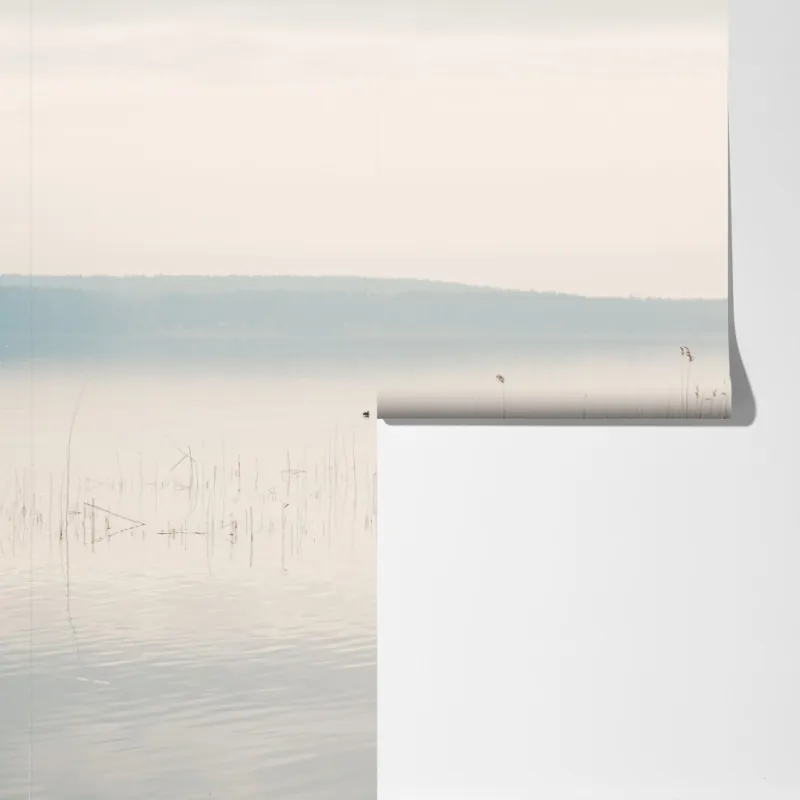 Fototapeta spokojne trzcinowisko nad jeziorem – Wallissimo® Fototapeta spokojne trzcinowisko nad jeziorem – Wallissimo®