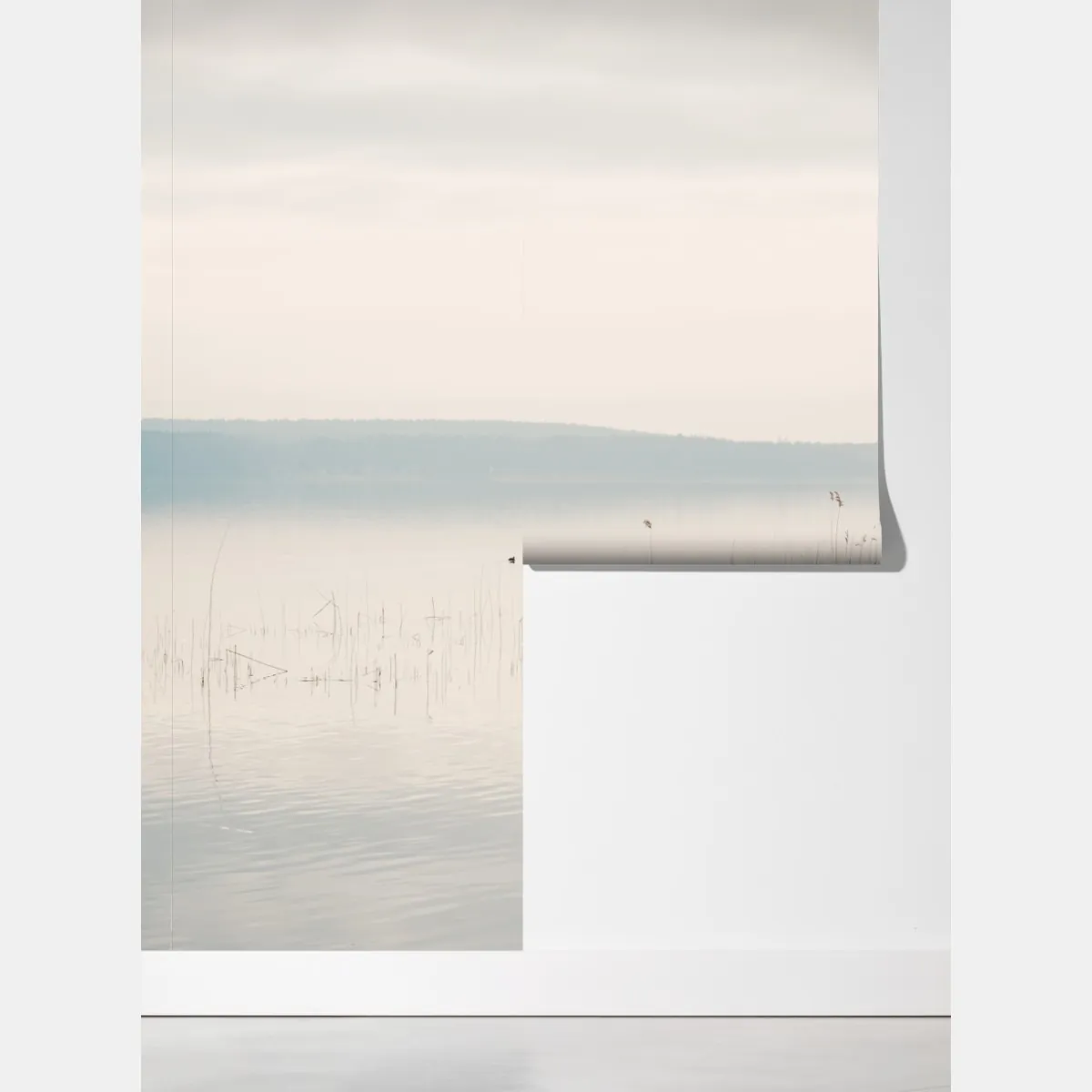 Fototapeta spokojne trzcinowisko nad jeziorem – Wallissimo® Fototapeta spokojne trzcinowisko nad jeziorem – Wallissimo®