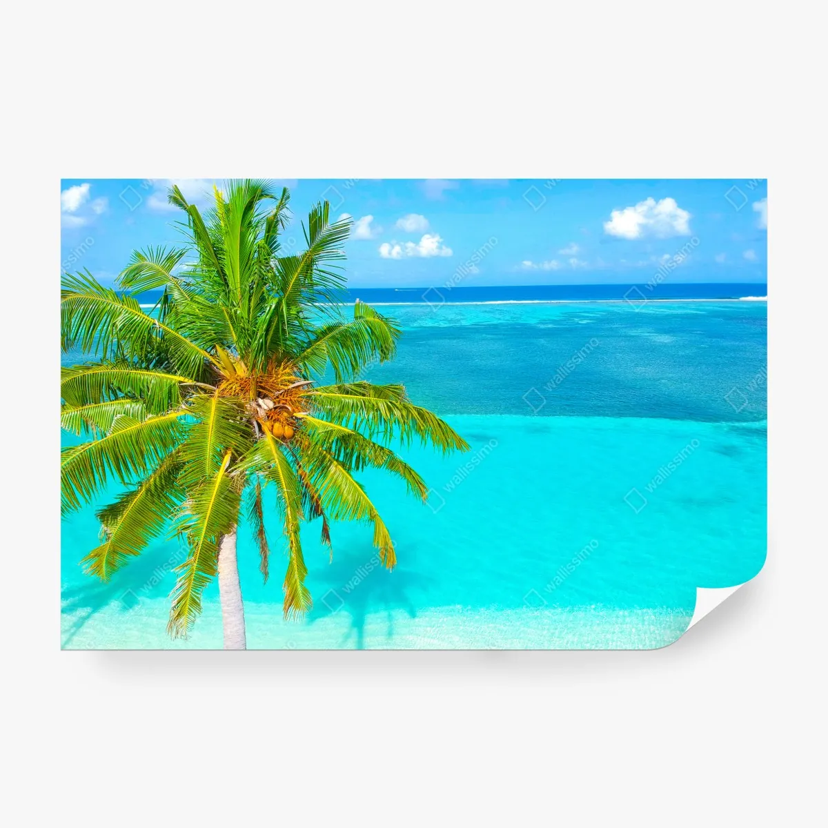 Fototapeta tropikalna turkusowa plaża z palmą – Wallissimo® Fototapeta tropikalna turkusowa plaża z palmą – Wallissimo®
