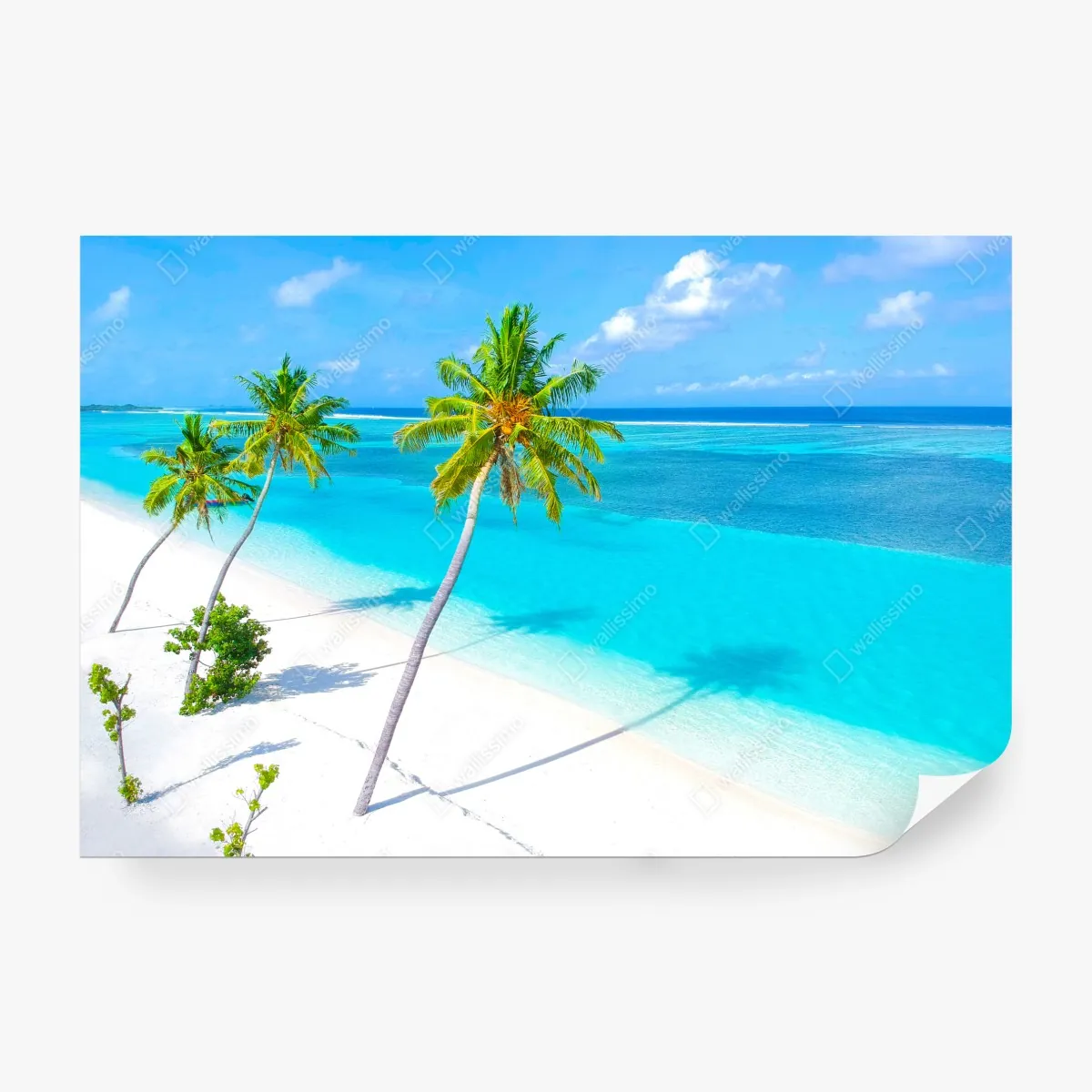 Fototapeta tropikalna turkusowa plaża z palmami – Wallissimo® Fototapeta tropikalna turkusowa plaża z palmami – Wallissimo®