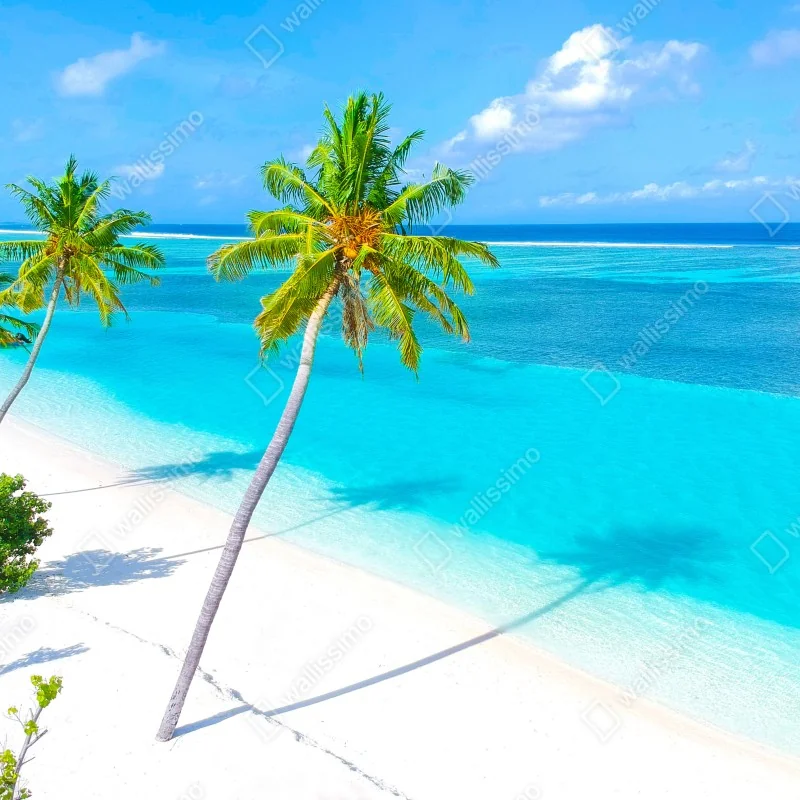 Fototapeta tropikalna turkusowa plaża z palmami – Wallissimo® Fototapeta tropikalna turkusowa plaża z palmami – Wallissimo®