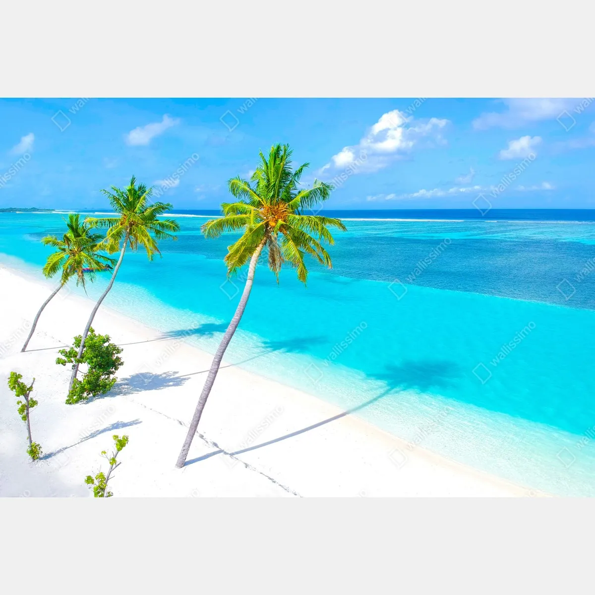 Fototapeta tropikalna turkusowa plaża z palmami – Wallissimo® Fototapeta tropikalna turkusowa plaża z palmami – Wallissimo®