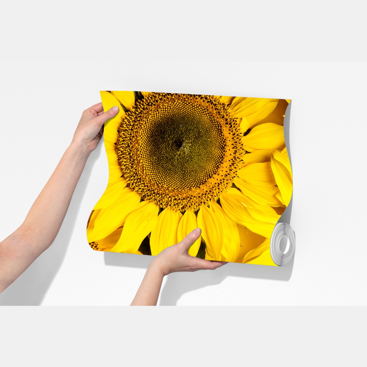 Fototapeta jasny bukiet słoneczników na żółtym tle – Wallissimo® Fototapeta jasny bukiet słoneczników na żółtym tle – Wallissimo®