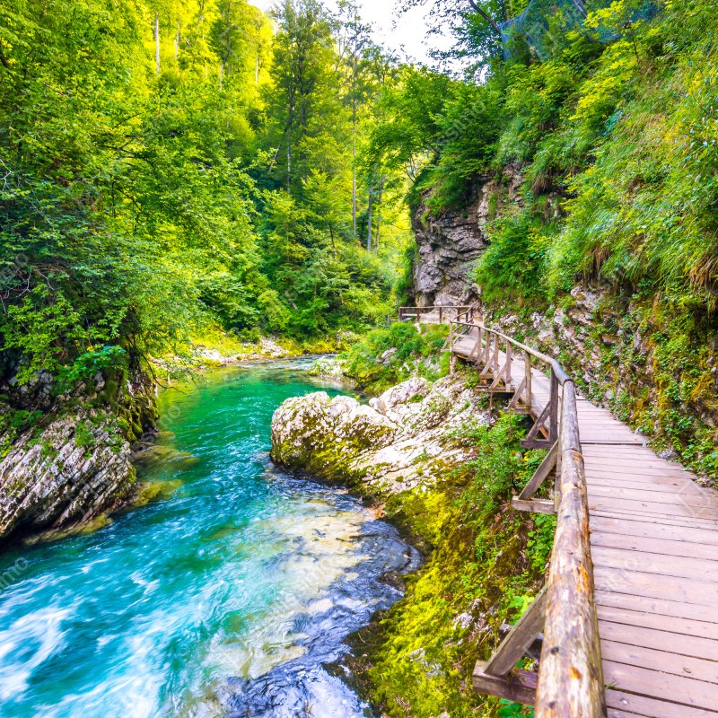Fototapeta turkusowa rzeka i drewniana ścieżka w lesie – Wallissimo® Fototapeta turkusowa rzeka i drewniana ścieżka w lesie – Wallissimo®
