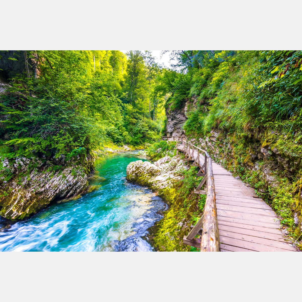 Fototapeta turkusowa rzeka i drewniana ścieżka w lesie – Wallissimo® Fototapeta turkusowa rzeka i drewniana ścieżka w lesie – Wallissimo®