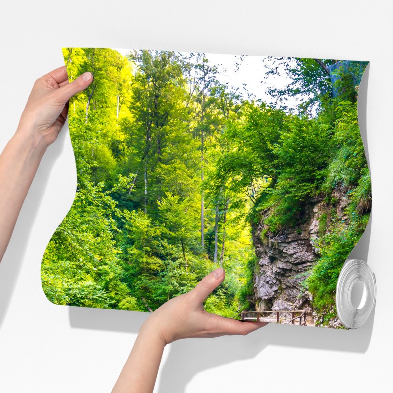 Fototapeta turkusowa rzeka i drewniana ścieżka w lesie – Wallissimo® Fototapeta turkusowa rzeka i drewniana ścieżka w lesie – Wallissimo®