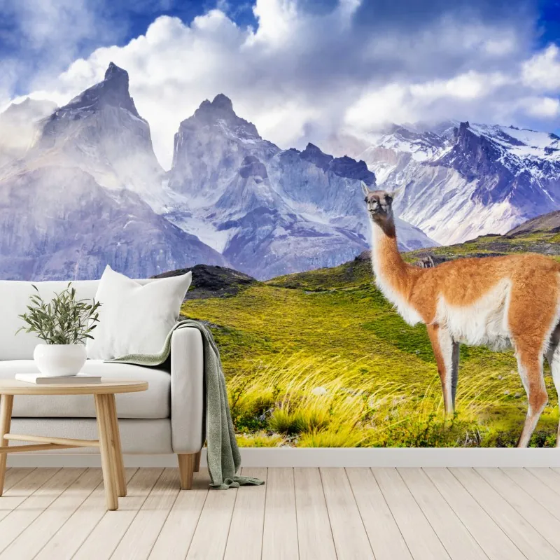 Fototapeta Torres del Paine Patagonia krajobraz z guanako – Wallissimo® Fototapeta Torres del Paine Patagonia krajobraz z guanako – Wallissimo®
