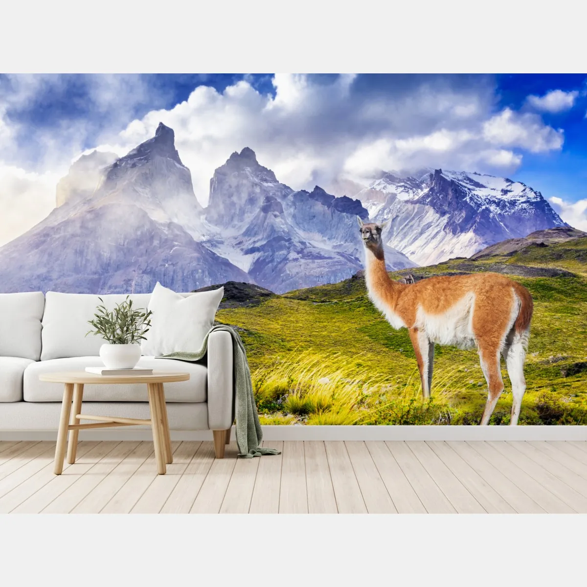 Fototapeta Torres del Paine Patagonia krajobraz z guanako – Wallissimo® Fototapeta Torres del Paine Patagonia krajobraz z guanako – Wallissimo®