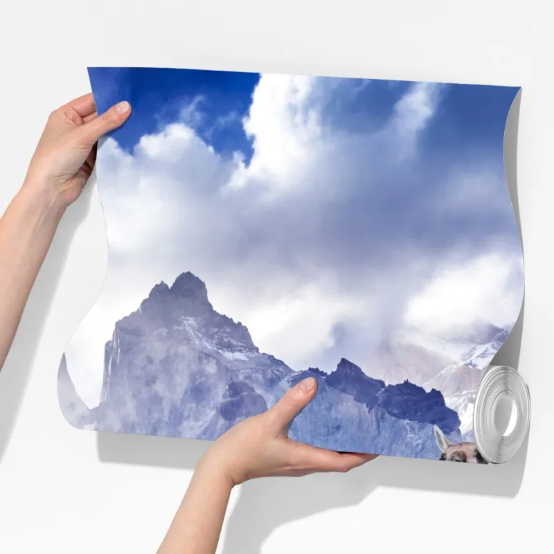 Fototapeta Torres del Paine Patagonia krajobraz z guanako – Wallissimo® Fototapeta Torres del Paine Patagonia krajobraz z guanako – Wallissimo®