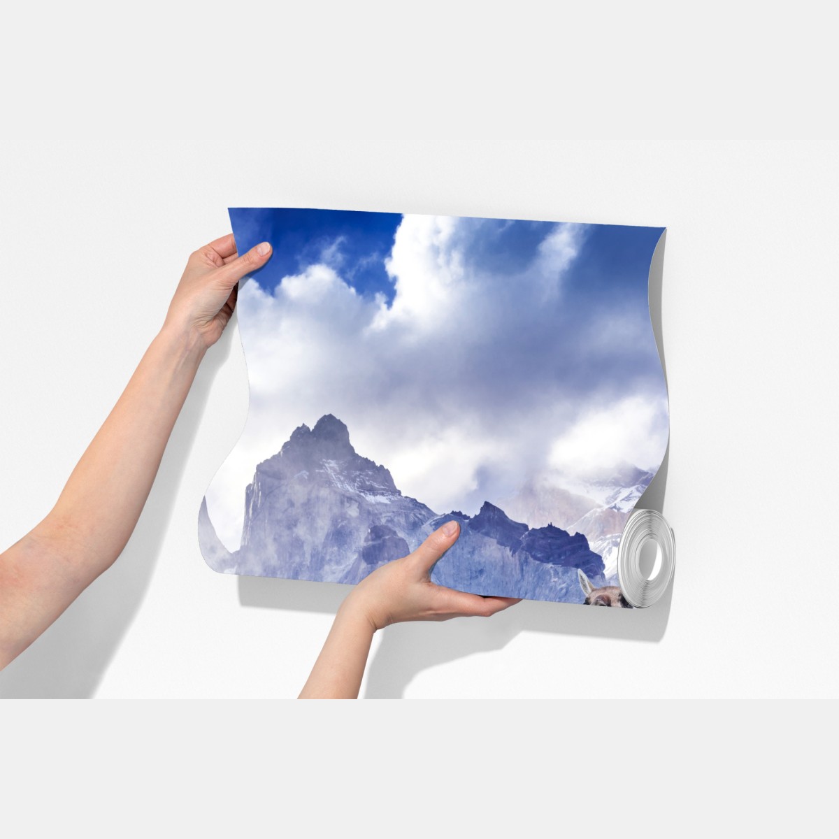 Fototapeta Torres del Paine Patagonia krajobraz z guanako – Wallissimo® Fototapeta Torres del Paine Patagonia krajobraz z guanako – Wallissimo®