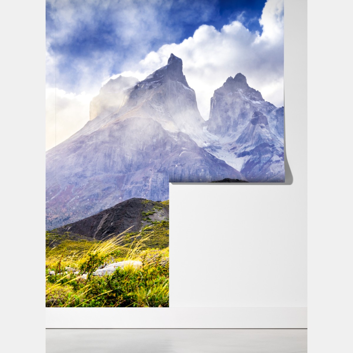 Fototapeta Torres del Paine Patagonia krajobraz z guanako – Wallissimo® Fototapeta Torres del Paine Patagonia krajobraz z guanako – Wallissimo®