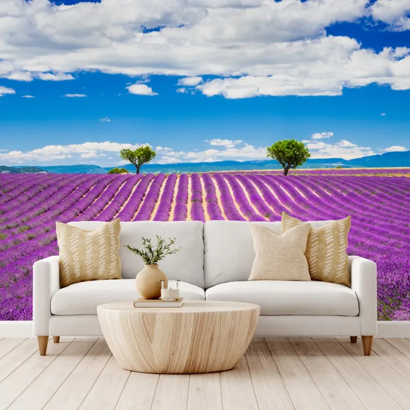 Fototapeta pola lawendy w Prowansji