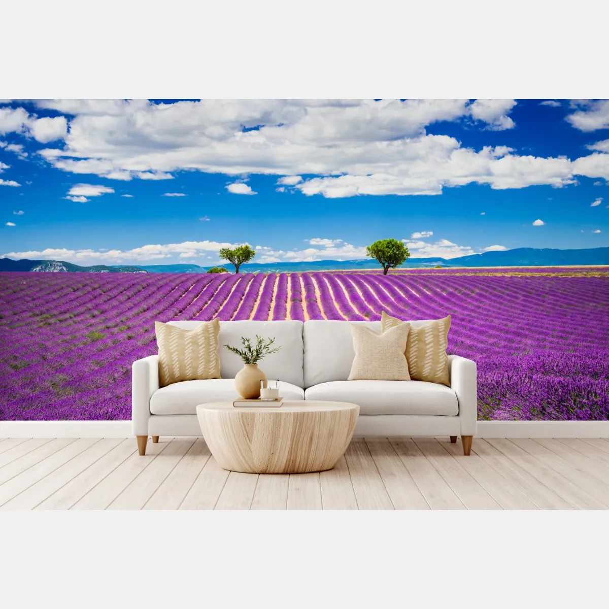 Fototapeta pola lawendy w Prowansji – Wallissimo® Fototapeta pola lawendy w Prowansji – Wallissimo®