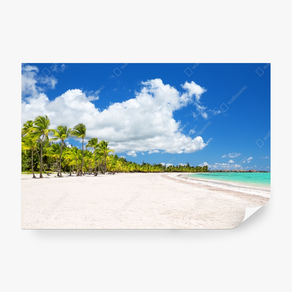 Fototapeta tropikalna plaża w Punta Cana – Wallissimo® Fototapeta tropikalna plaża w Punta Cana – Wallissimo®
