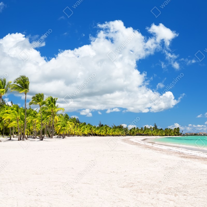Fototapeta tropikalna plaża w Punta Cana – Wallissimo® Fototapeta tropikalna plaża w Punta Cana – Wallissimo®