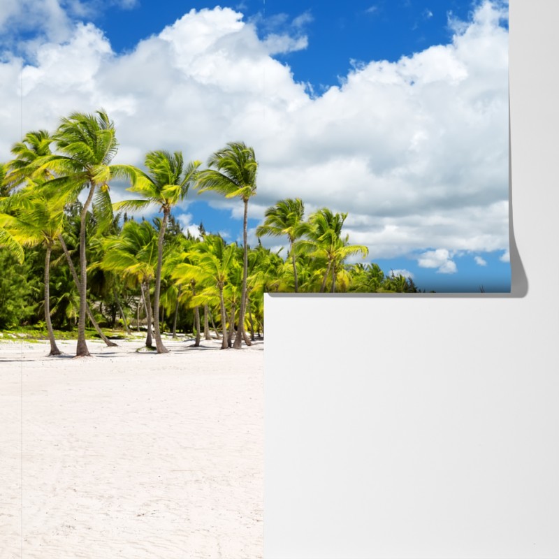 Fototapeta tropikalna plaża w Punta Cana – Wallissimo® Fototapeta tropikalna plaża w Punta Cana – Wallissimo®