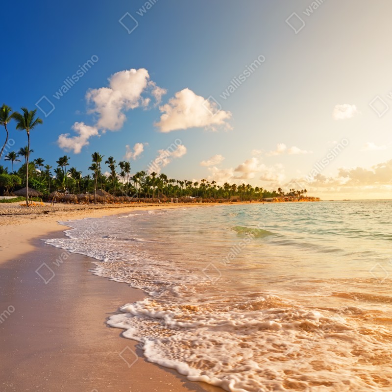 Fototapeta tropikalny zachód słońca na plaży z sylwetkami palm – Wallissimo® Fototapeta tropikalny zachód słońca na plaży z sylwetkami palm – Wallissimo®