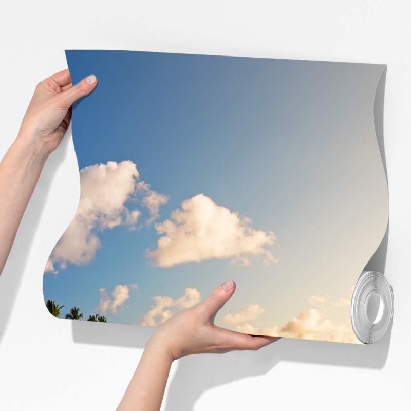 Fototapeta tropikalny zachód słońca na plaży z sylwetkami palm – Wallissimo® Fototapeta tropikalny zachód słońca na plaży z sylwetkami palm – Wallissimo®