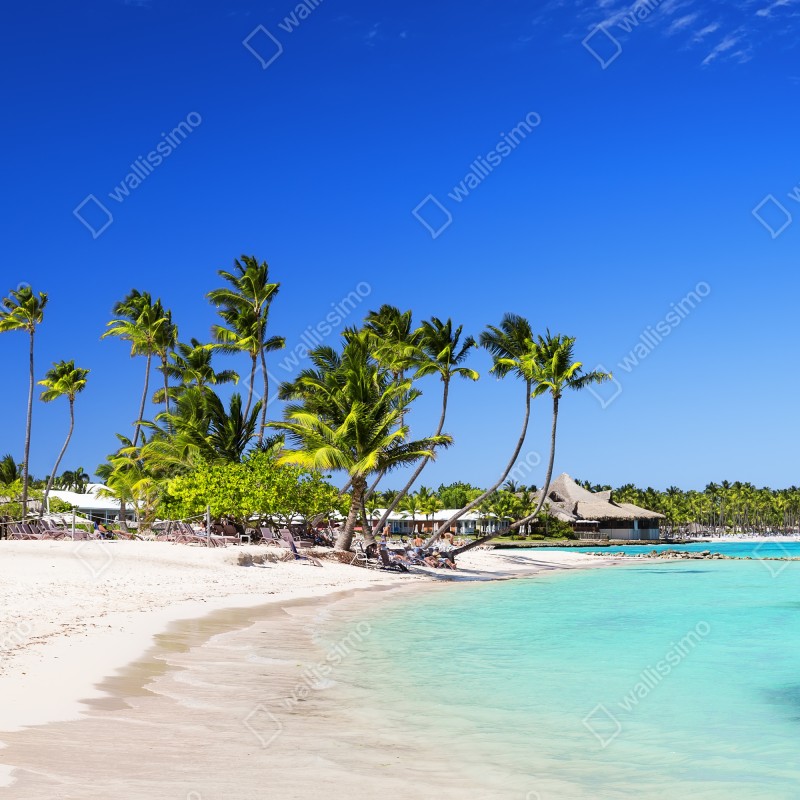 Fototapeta tropikalna plaża w Cap Cana – Wallissimo® Fototapeta tropikalna plaża w Cap Cana – Wallissimo®
