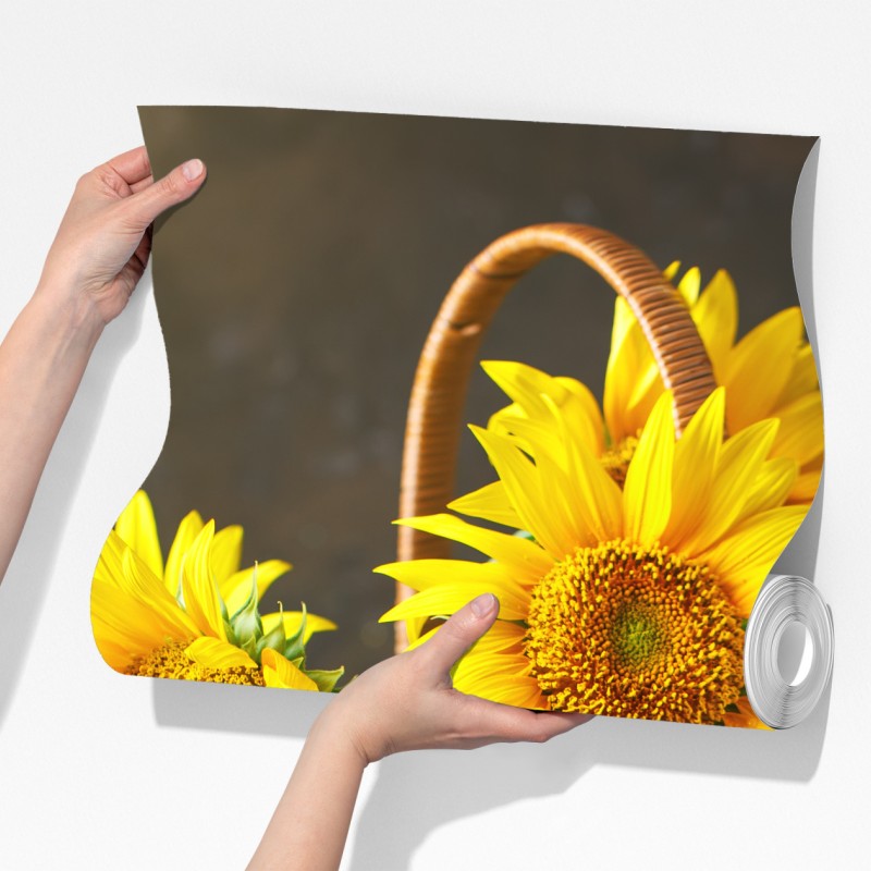 Fototapeta jasna martwa natura ze słonecznikami, ziarnami i olejem – Wallissimo® Fototapeta jasna martwa natura ze słonecznikami, ziarnami i olejem – Wallissimo®