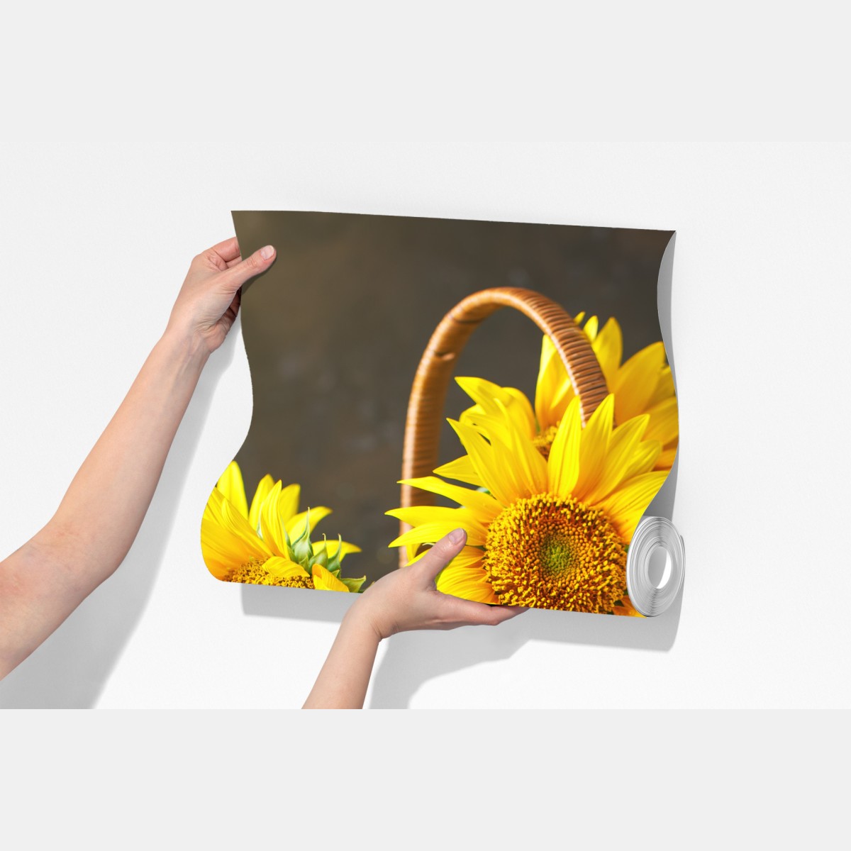 Fototapeta jasna martwa natura ze słonecznikami, ziarnami i olejem – Wallissimo® Fototapeta jasna martwa natura ze słonecznikami, ziarnami i olejem – Wallissimo®