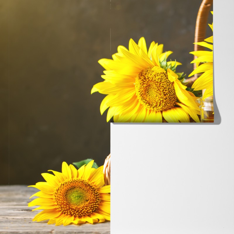 Fototapeta jasna martwa natura ze słonecznikami, ziarnami i olejem – Wallissimo® Fototapeta jasna martwa natura ze słonecznikami, ziarnami i olejem – Wallissimo®