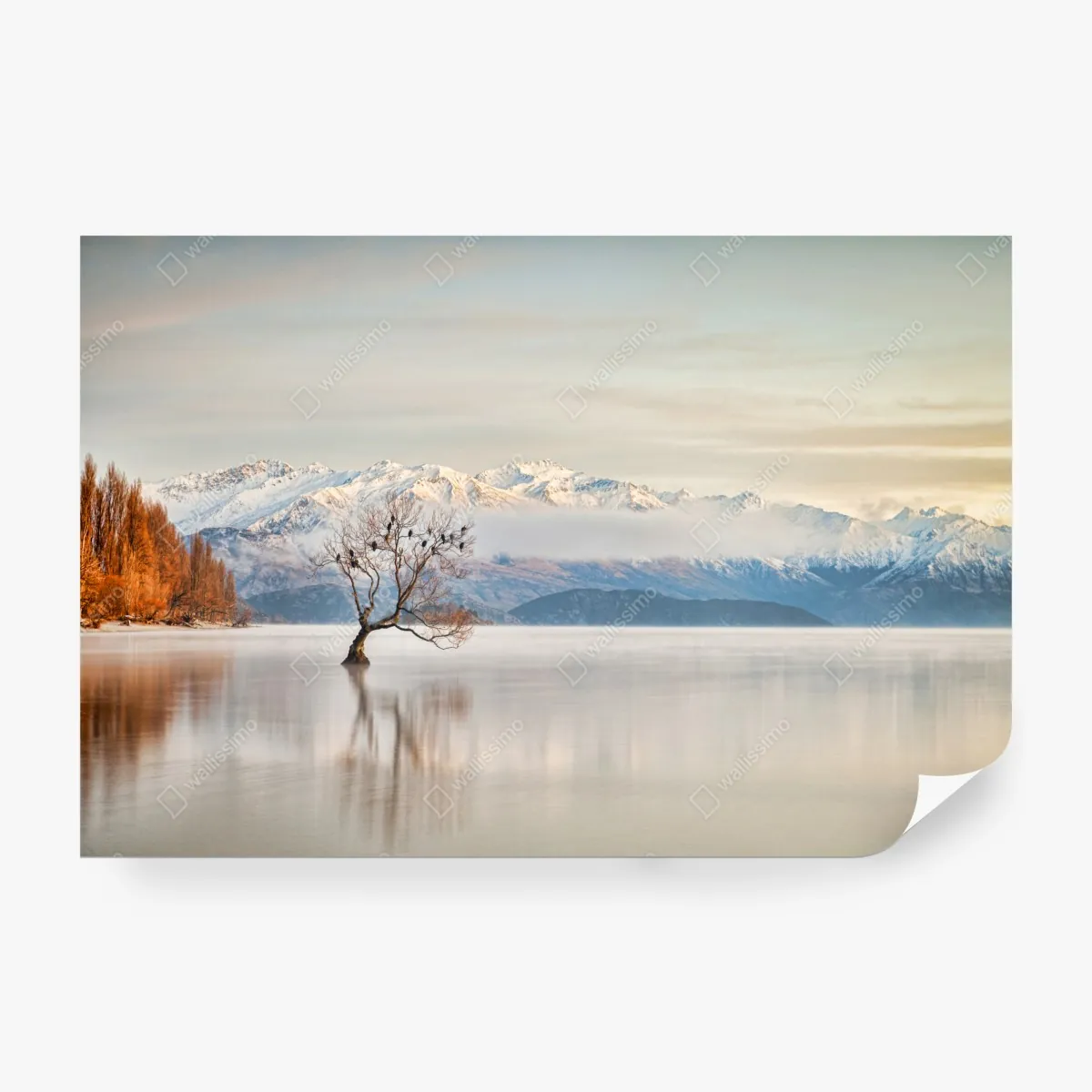 Fototapeta samotne drzewo nad jeziorem Wanaka – Wallissimo® Fototapeta samotne drzewo nad jeziorem Wanaka – Wallissimo®