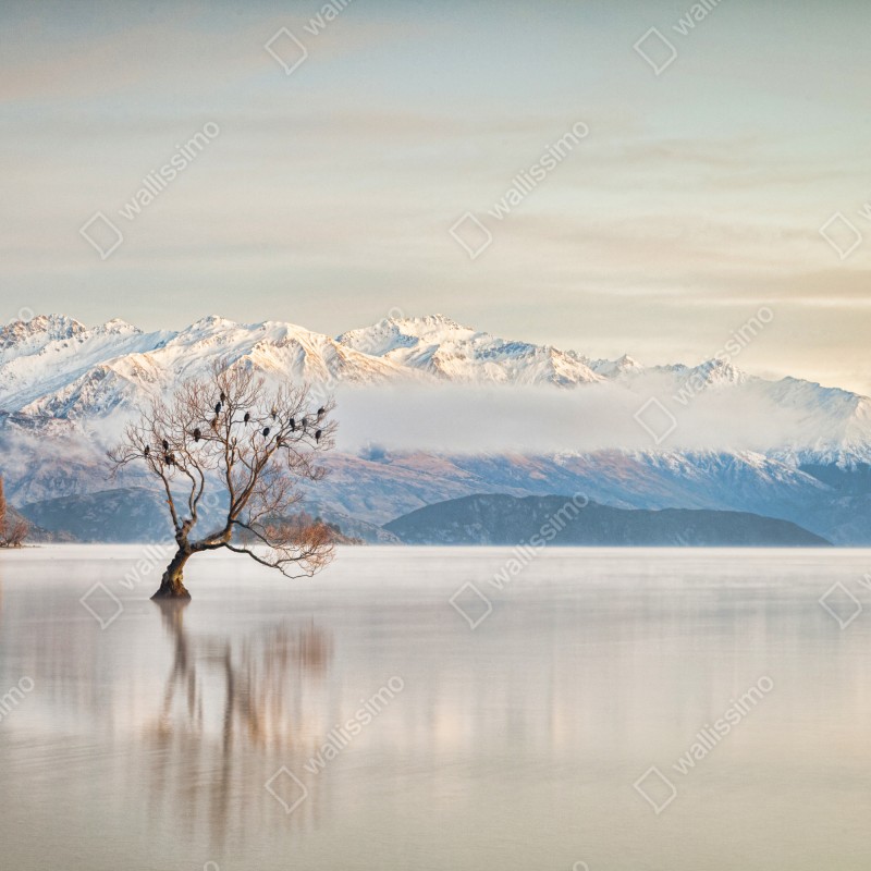 Fototapeta samotne drzewo nad jeziorem Wanaka – Wallissimo® Fototapeta samotne drzewo nad jeziorem Wanaka – Wallissimo®