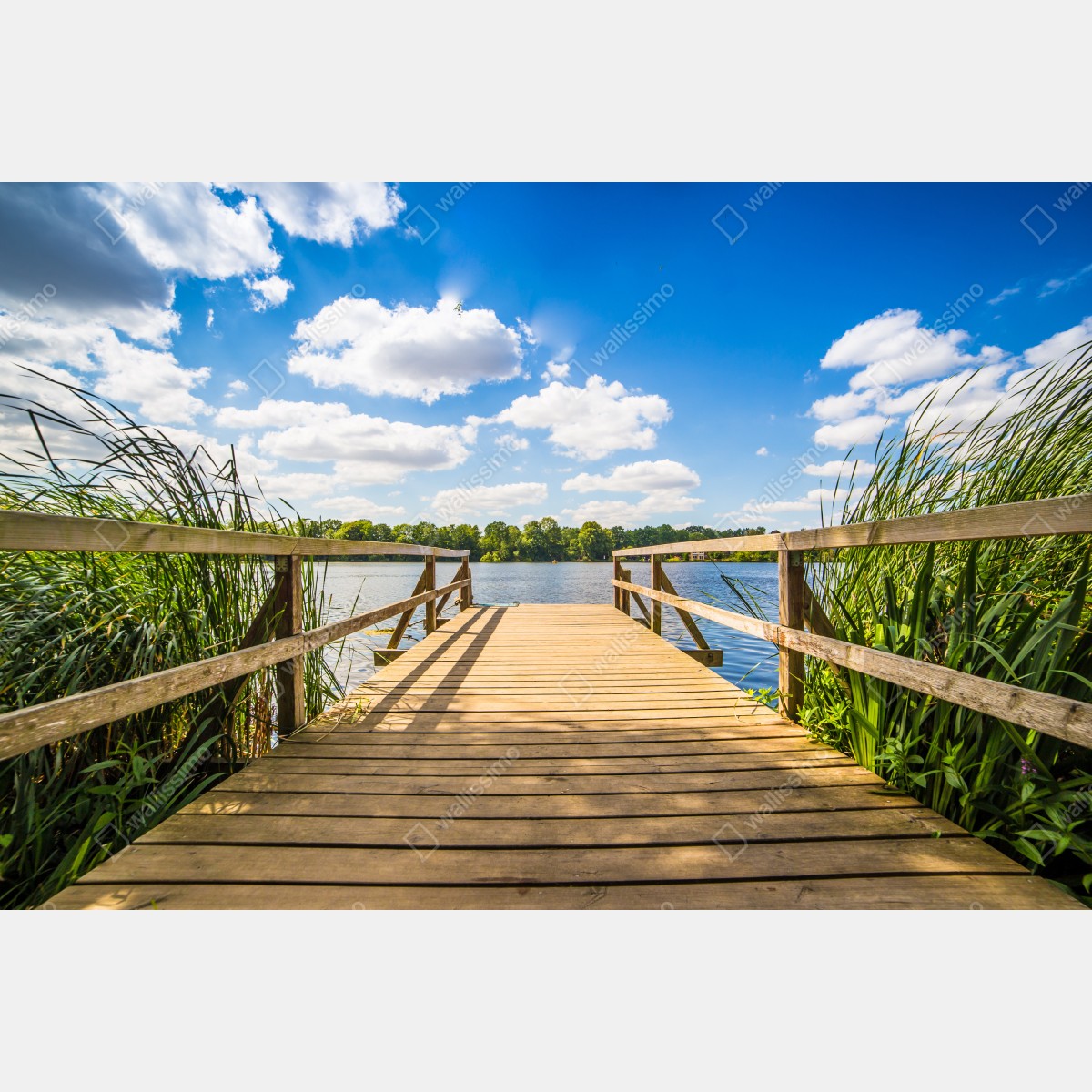 Fototapeta słoneczny pomost nad jeziorem – Wallissimo® Fototapeta słoneczny pomost nad jeziorem – Wallissimo®