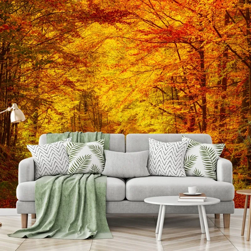 Fototapeta złota jesienna ścieżka w lesie – Wallissimo® Fototapeta złota jesienna ścieżka w lesie – Wallissimo®