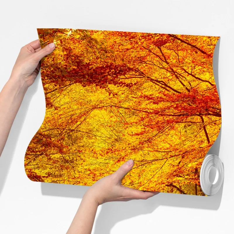 Fototapeta złota jesienna ścieżka w lesie – Wallissimo® Fototapeta złota jesienna ścieżka w lesie – Wallissimo®