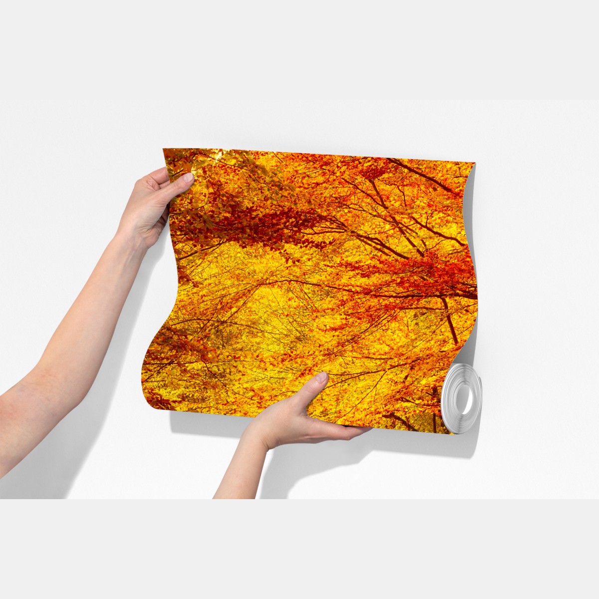 Fototapeta złota jesienna ścieżka w lesie – Wallissimo® Fototapeta złota jesienna ścieżka w lesie – Wallissimo®