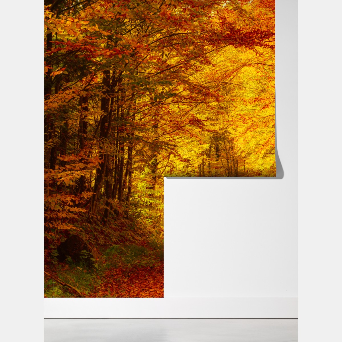 Fototapeta złota jesienna ścieżka w lesie – Wallissimo® Fototapeta złota jesienna ścieżka w lesie – Wallissimo®