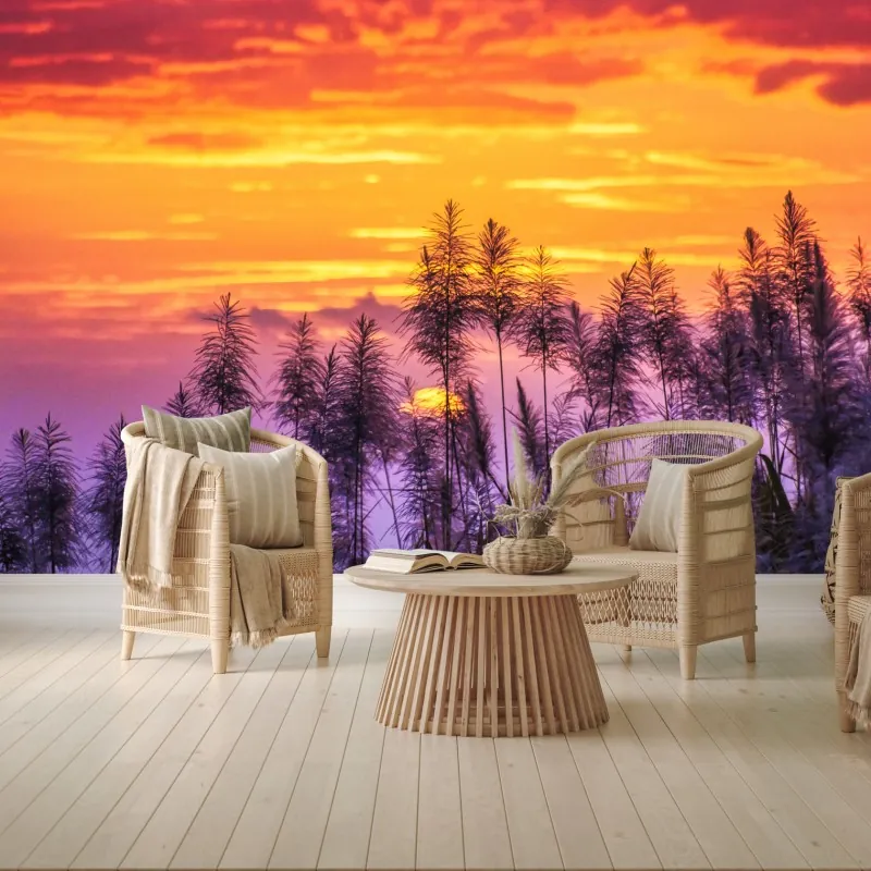 Fototapeta złoty zachód słońca nad trawami – Wallissimo® Fototapeta złoty zachód słońca nad trawami – Wallissimo®