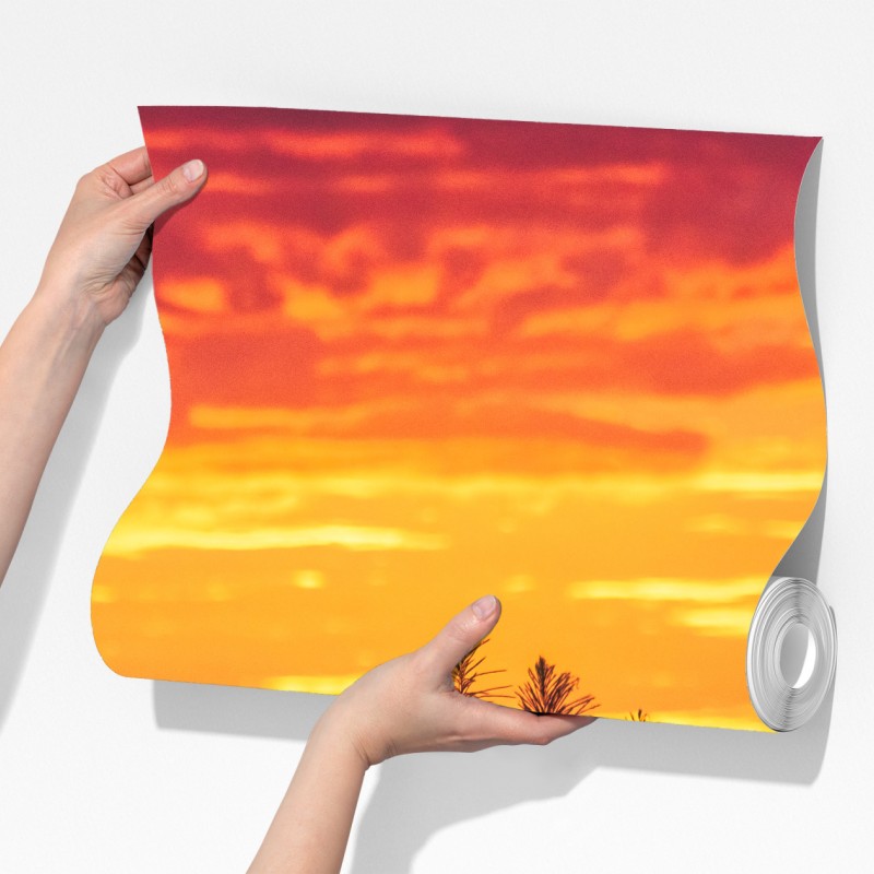 Fototapeta złoty zachód słońca nad trawami – Wallissimo® Fototapeta złoty zachód słońca nad trawami – Wallissimo®