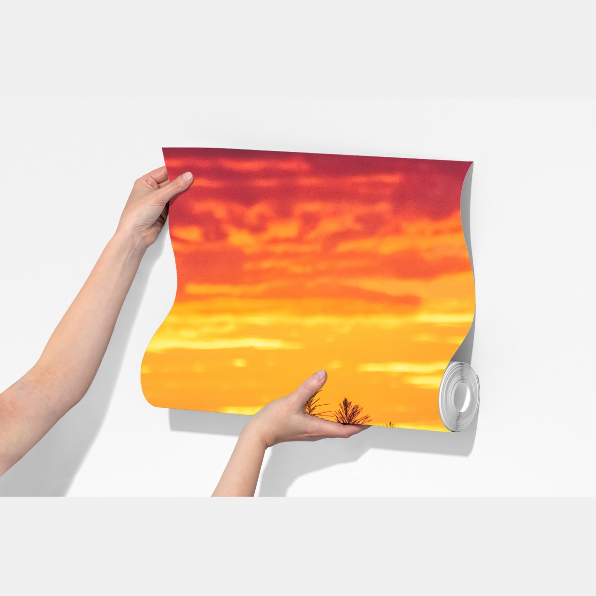 Fototapeta złoty zachód słońca nad trawami – Wallissimo® Fototapeta złoty zachód słońca nad trawami – Wallissimo®