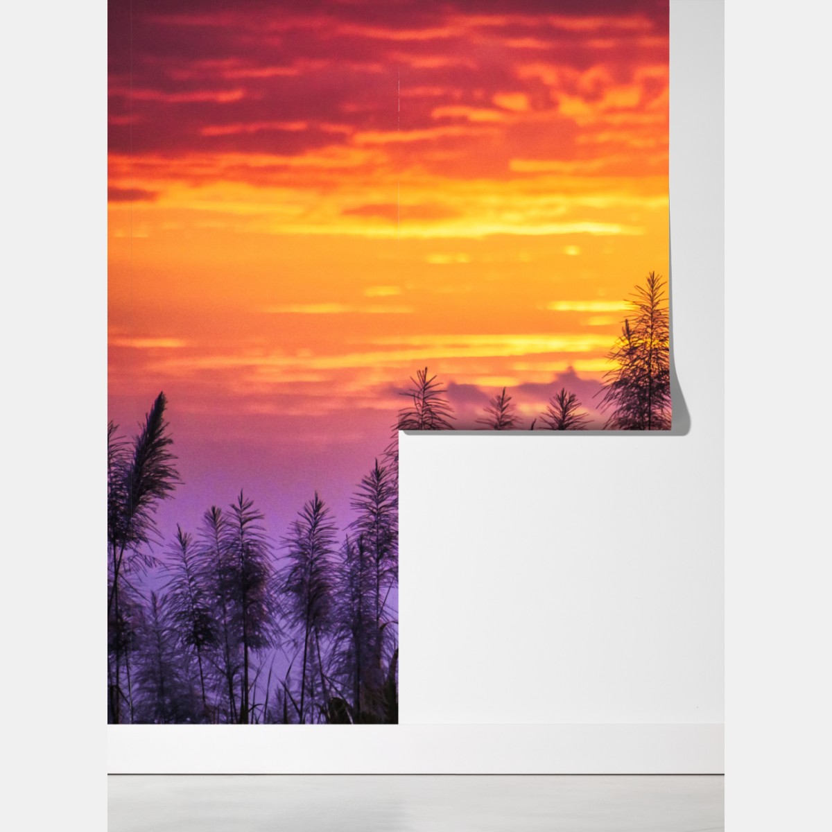 Fototapeta złoty zachód słońca nad trawami – Wallissimo® Fototapeta złoty zachód słońca nad trawami – Wallissimo®