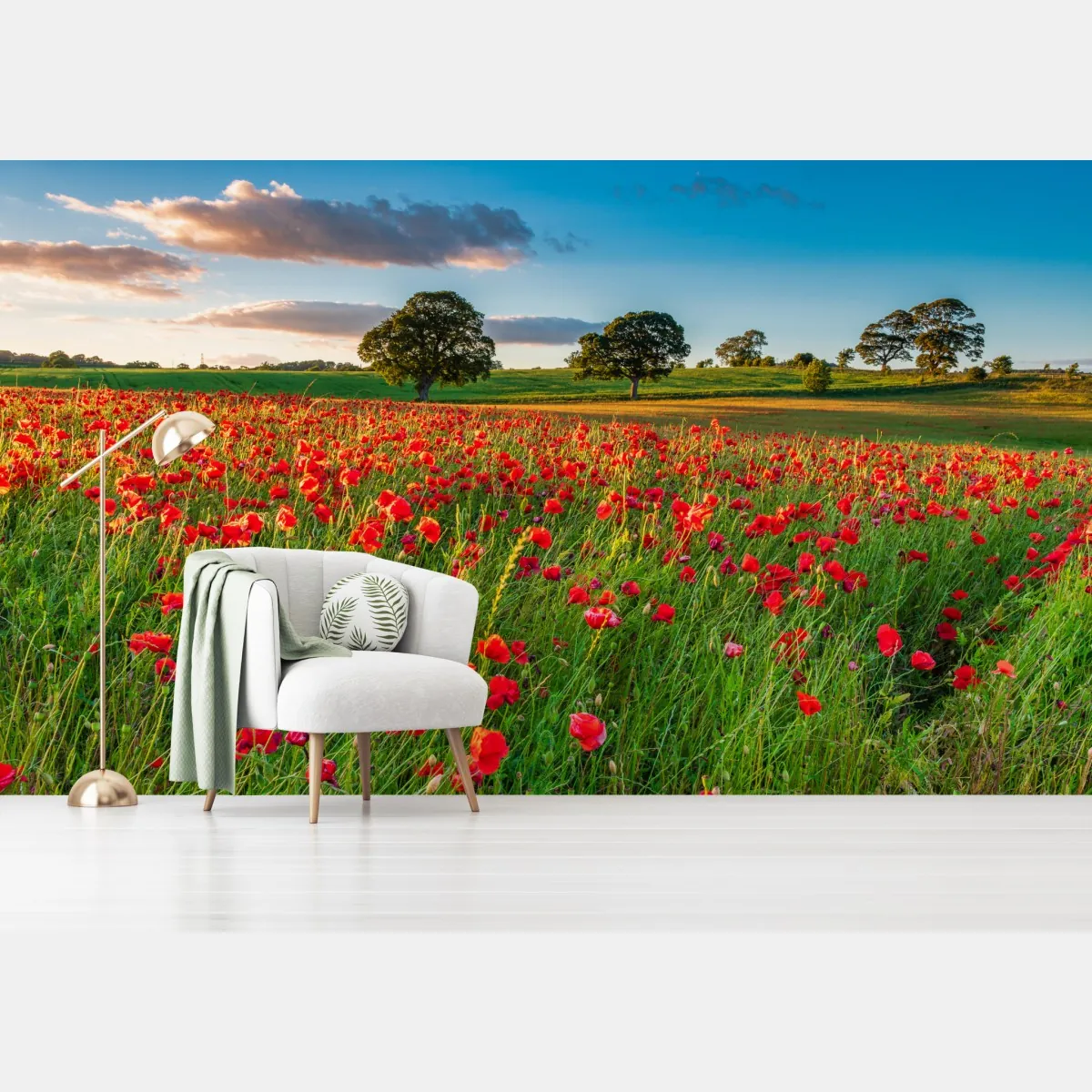 Fototapeta pole czerwonych maków koło Corbridge – Wallissimo® Fototapeta pole czerwonych maków koło Corbridge – Wallissimo®