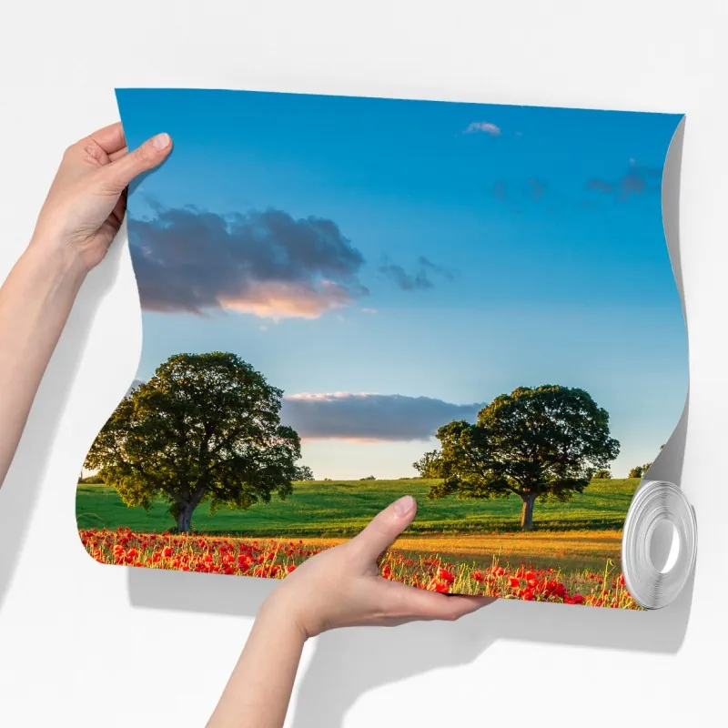 Fototapeta pole czerwonych maków koło Corbridge – Wallissimo® Fototapeta pole czerwonych maków koło Corbridge – Wallissimo®