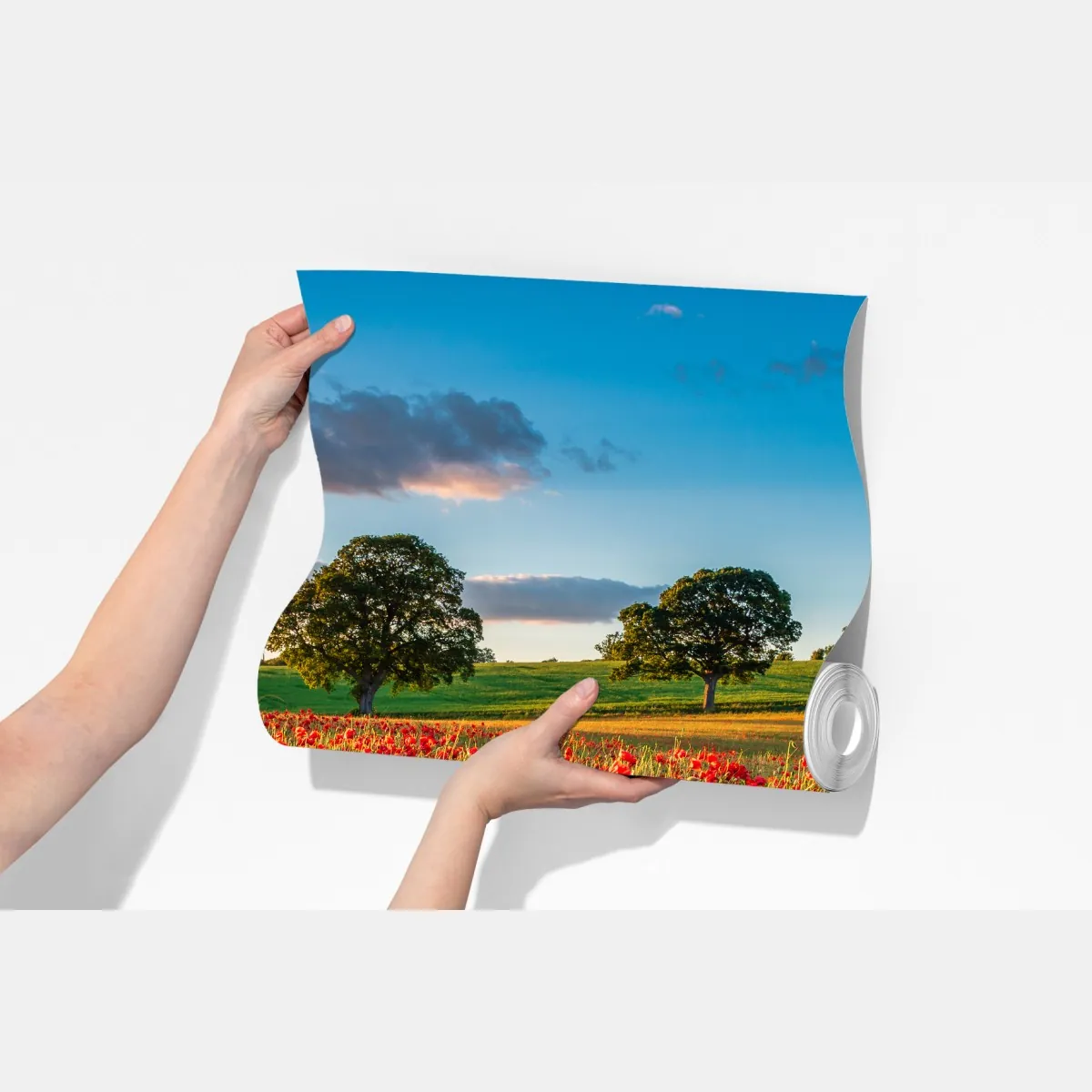 Fototapeta pole czerwonych maków koło Corbridge – Wallissimo® Fototapeta pole czerwonych maków koło Corbridge – Wallissimo®