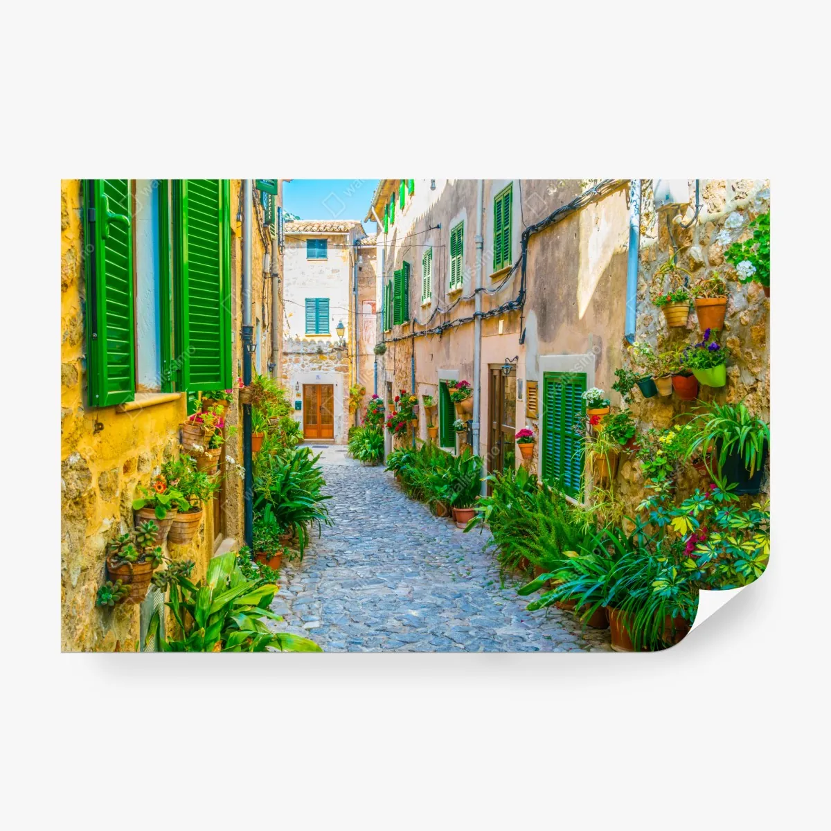 Fototapeta słoneczna uliczka z zielonymi okiennicami – Wallissimo® Fototapeta słoneczna uliczka z zielonymi okiennicami – Wallissimo®