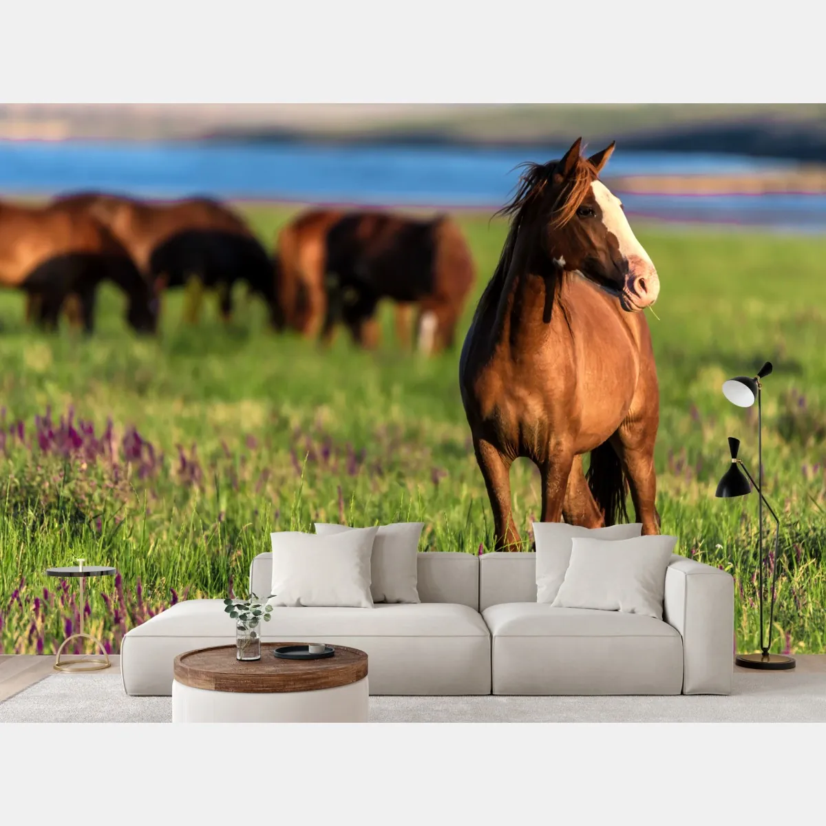 Fototapeta majestatyczny brązowy koń na słonecznej łące – Wallissimo® Fototapeta majestatyczny brązowy koń na słonecznej łące – Wallissimo®