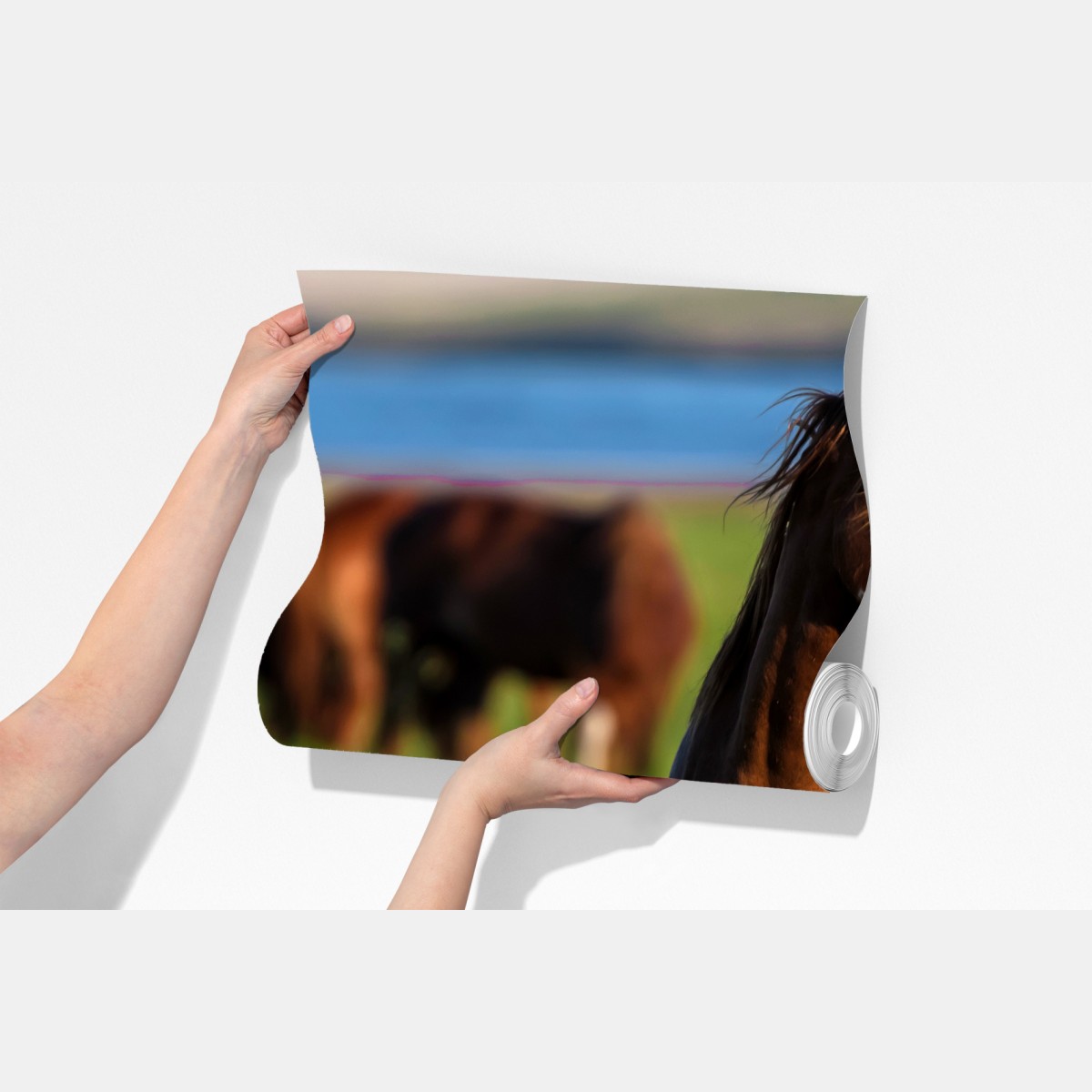 Fototapeta majestatyczny brązowy koń na słonecznej łące – Wallissimo® Fototapeta majestatyczny brązowy koń na słonecznej łące – Wallissimo®