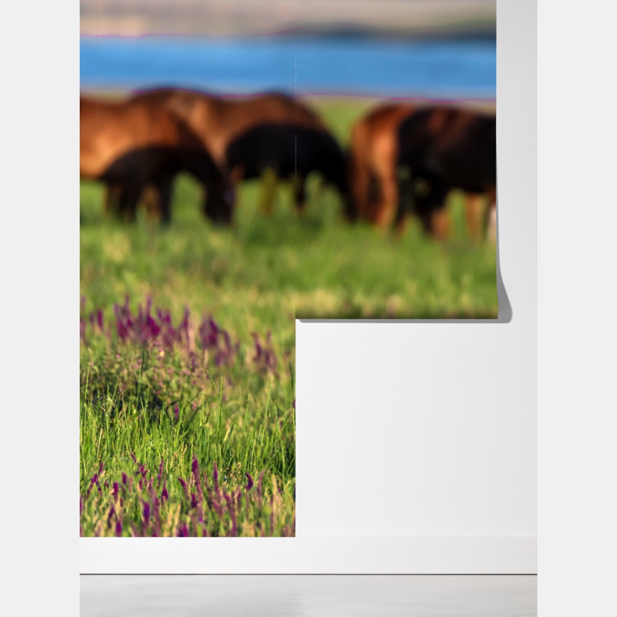 Fototapeta majestatyczny brązowy koń na słonecznej łące – Wallissimo® Fototapeta majestatyczny brązowy koń na słonecznej łące – Wallissimo®