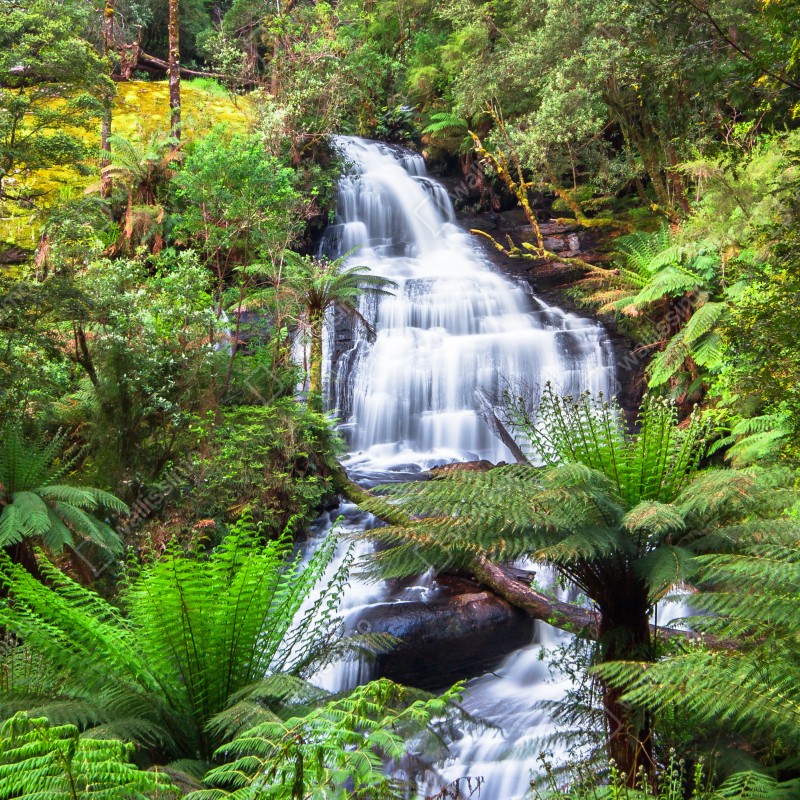 Fototapeta Triplet Falls wodospad w Great Otway National Park – Wallissimo® Fototapeta Triplet Falls wodospad w Great Otway National Park – Wallissimo®