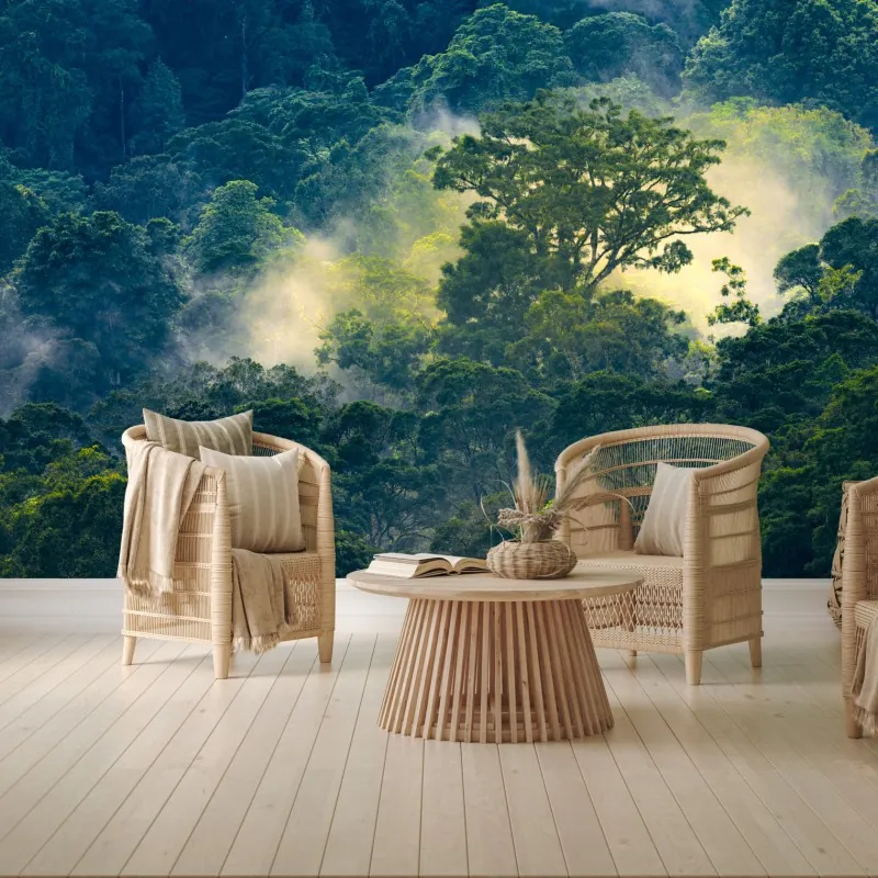 Fototapeta mglisty las deszczowy z koronami drzew